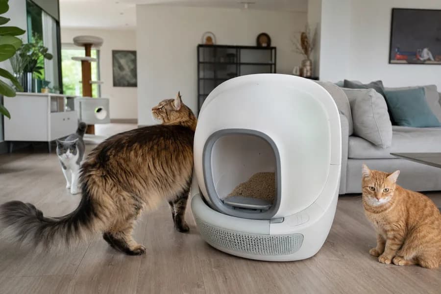 Grande litière automatique avec plusieurs chats