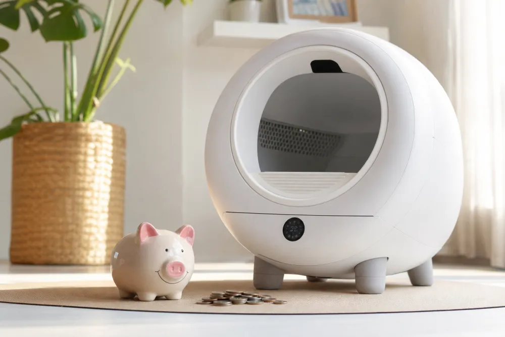 Tirelire et pièces de monnaie à côté d'une litière automatique durable